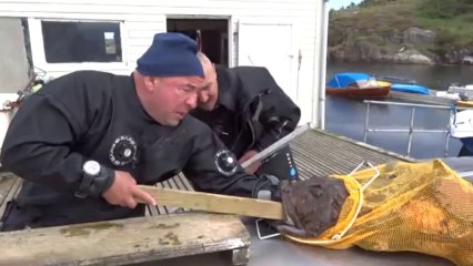 Sa main est piégée dans la bouche d'un poisson