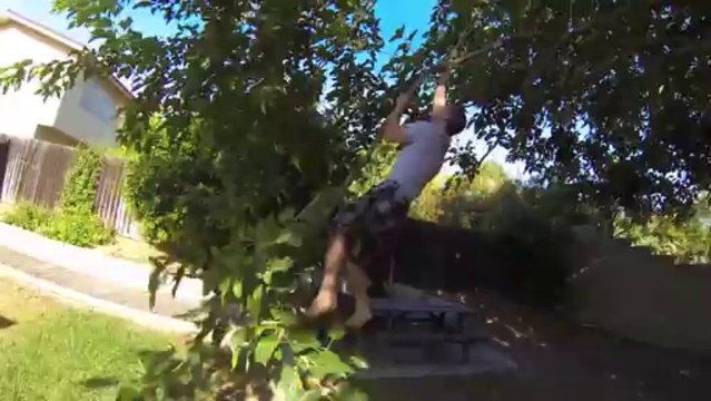 Kitten rescued from tree by 'dad'