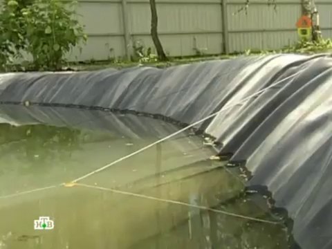 Дачный ответ 11.08