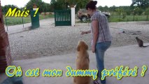 Mais ou est mon Dummy