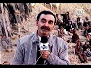 Concours de plongeon