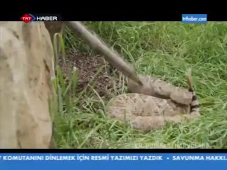 Bear Grylls Acil Durum Senaryolari Bolum 1                 www.toparla.com