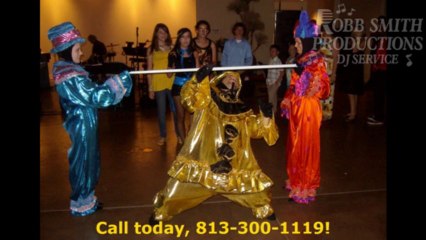 Dunedin Holiday Party DJ -  FL DJ - (813) 300-1119