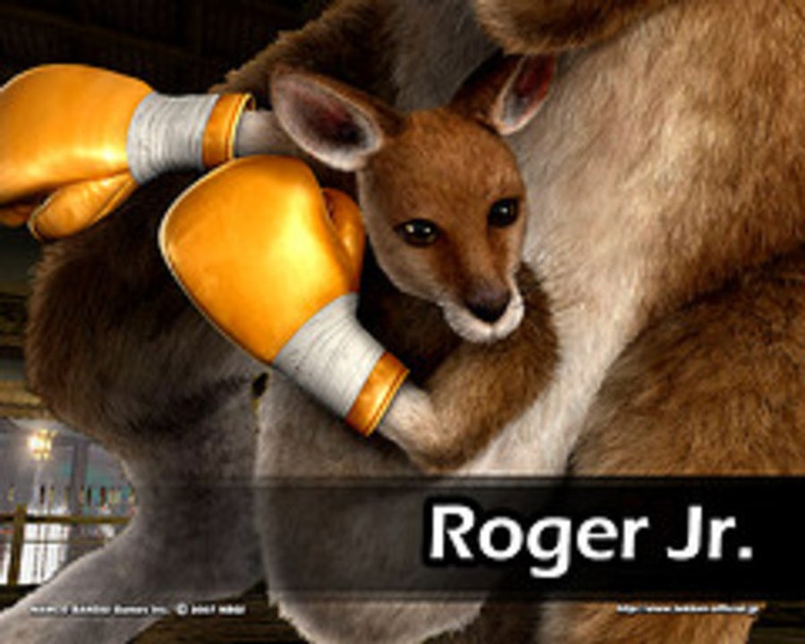 KANGAROOS POWEEER