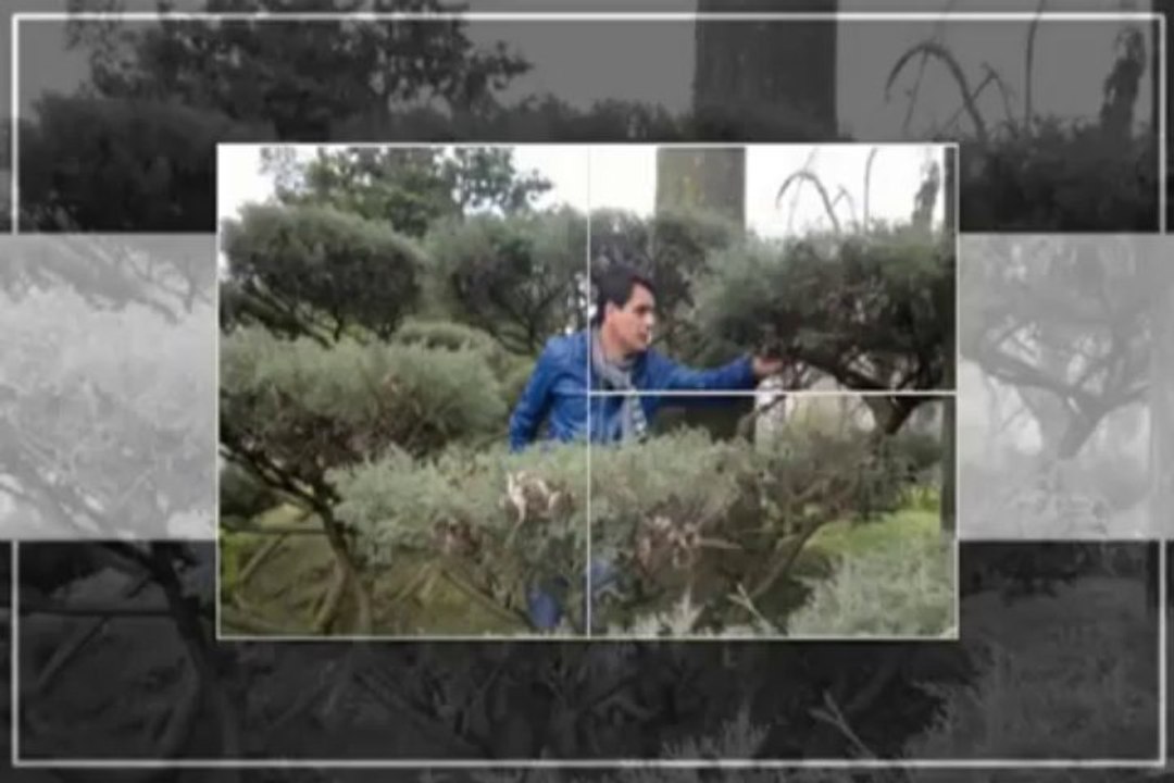 Salim Chaoui Habitek w el hob hlakni