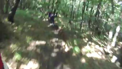 run DH enduro "la 70" bis