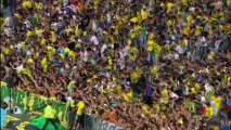 But Filip DJORDJEVIC (23ème) - FC Nantes - SC Bastia (2-0) - 2013/2014