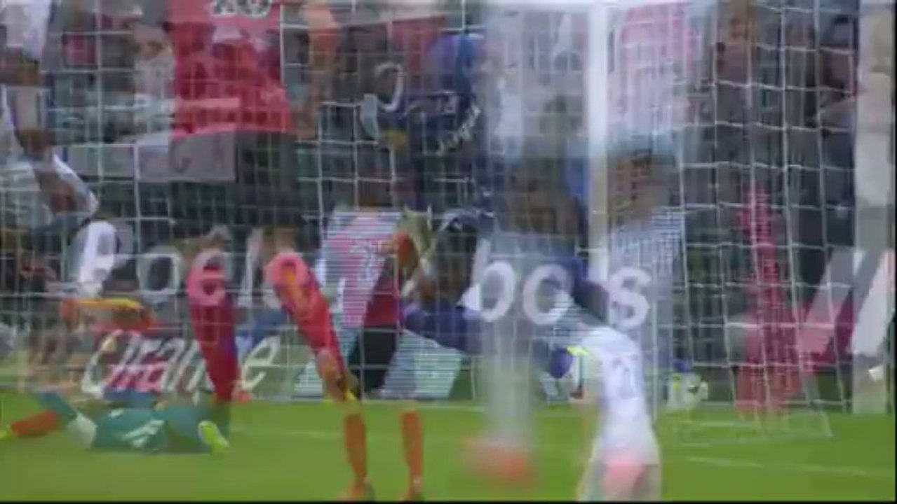 But Dimitri PAYET (16ème) - EA Guingamp - Olympique de Marseille (1-3) - 2013/2014