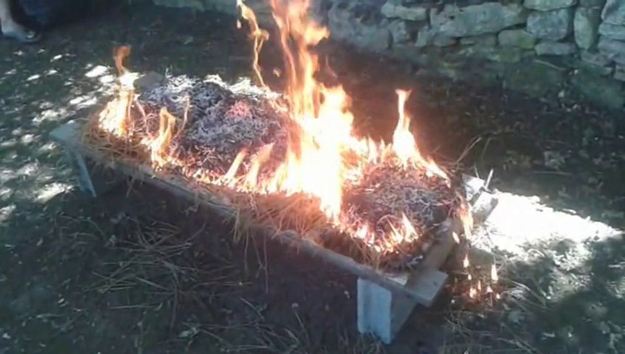 Cuisson d'une éclade de moules (Août 2013)