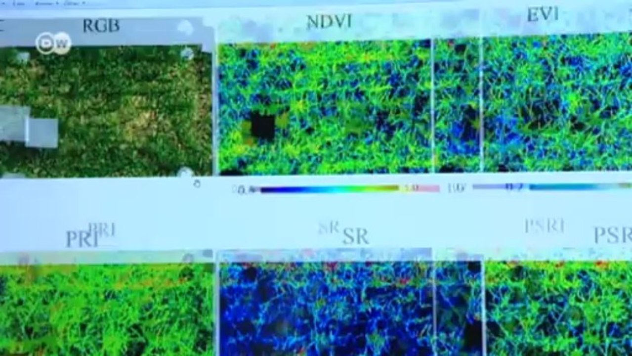 Biofuel - a resource of the future | Tomorrow Today