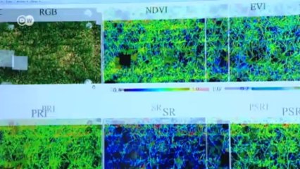 Biofuel - a resource of the future | Tomorrow Today