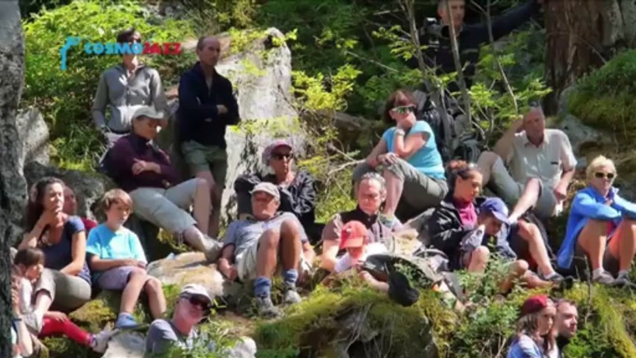 Pastille 01 - 27/072013 - Cosmo Jazz 2013