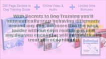 Secrets to dog training - Daniel Stevens dog training guide review