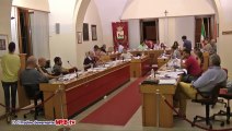 Consiglio comunale 29 luglio 2013 mozione fallimento Sogesa replica Rota