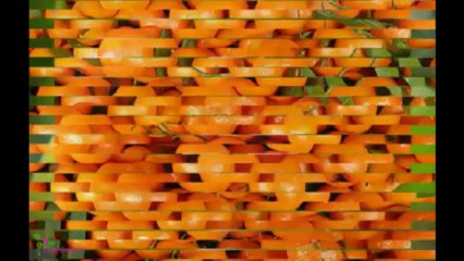 BVLGARI Aqva Pour Homme Marine Άρωμα