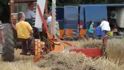 ESSAI JAVELEUSE DANS UN CHAMP DE BLE CHEZ MARC