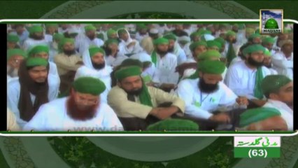 Islamic Information - Rozay me Darhi Katna - Maulana Ilyas Qadri
