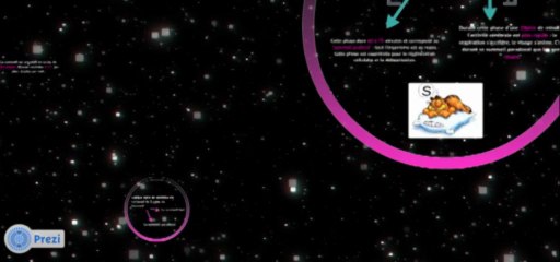 La question insolite : pourquoi les premières heures du sommeil sont-elles plus réparatrices ?