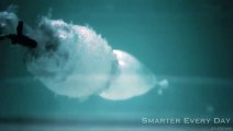 AK-47 Underwater at 27,450 frames per second!! Awesome Slow Motion perfomance!!