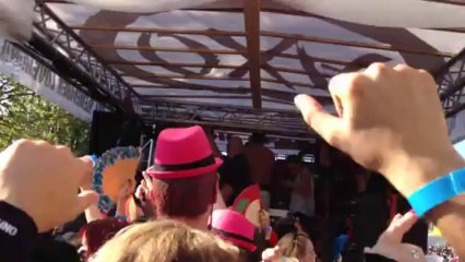 Street Parade 2013 No3