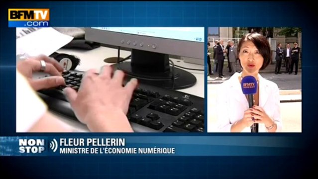 Tweets homophobes: Fleur Pellerin soutien la démarche d'Idaho France - 12/08
