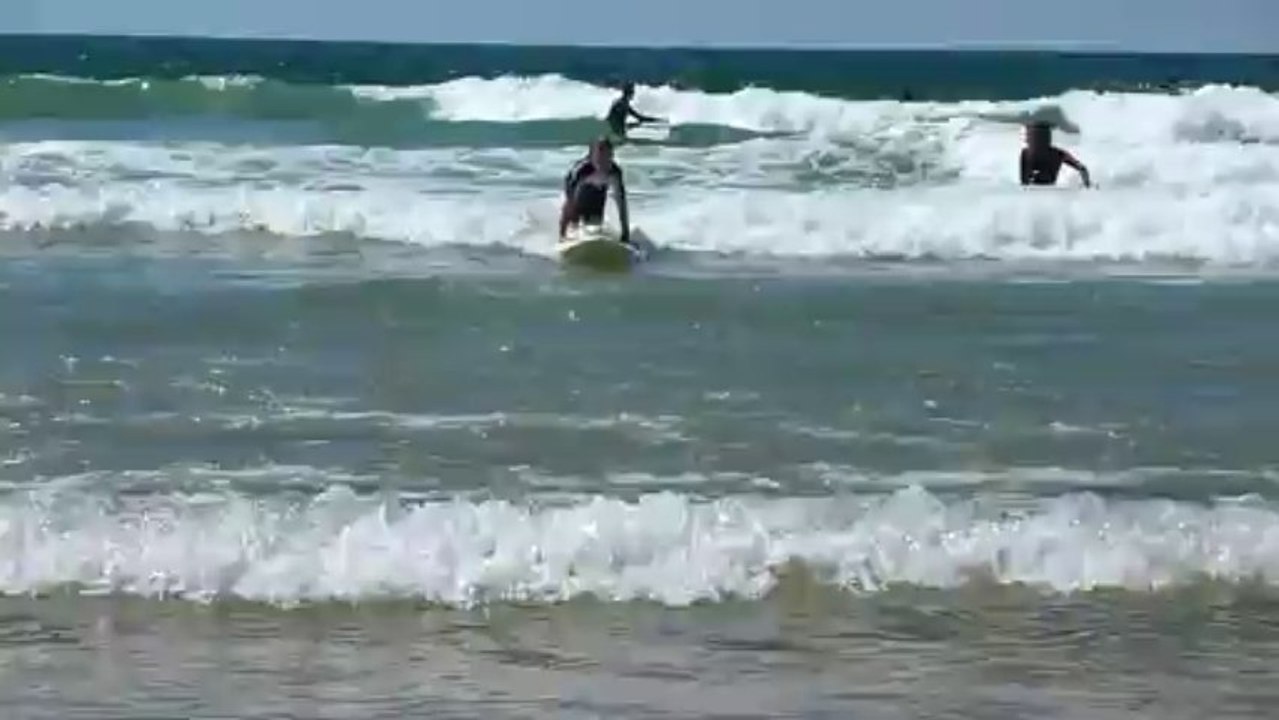 Surf