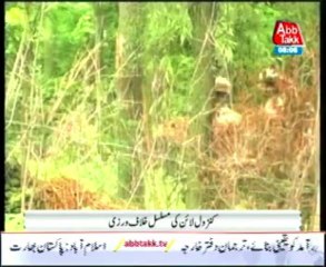 AbbTakk News Report - India LOC issue PKG - 12 August 2013