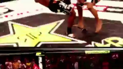 Fabricio Werdum Highlights