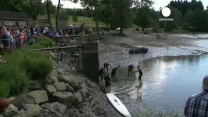 Almanya'da saldırgan kaplumbağa alarmı