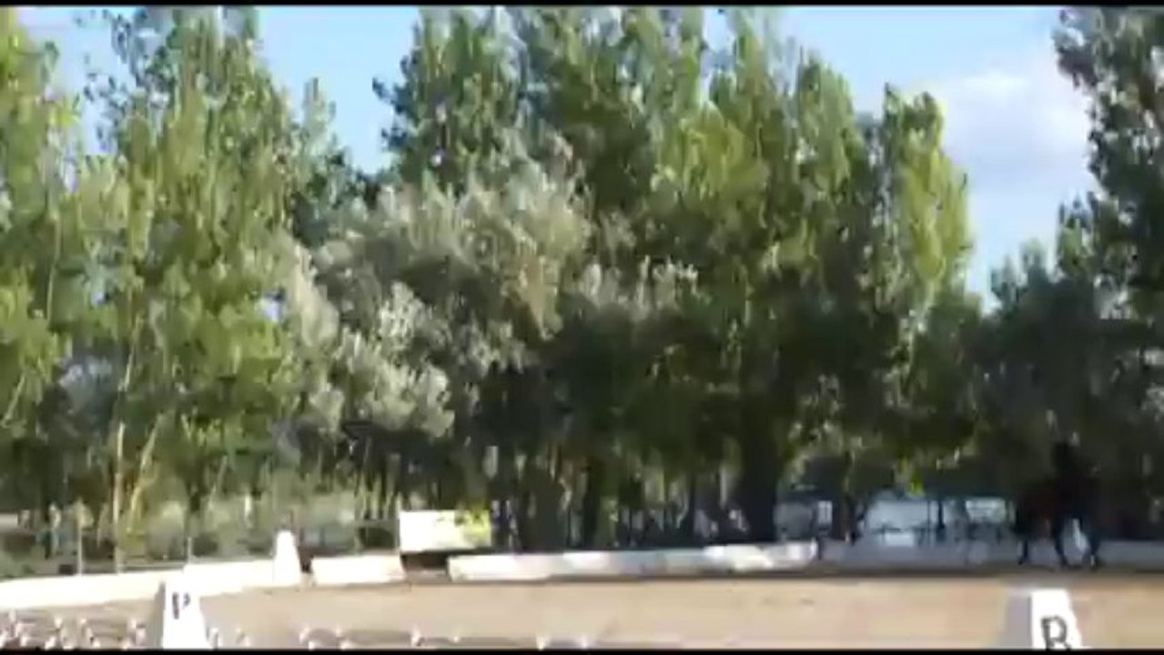 Dressage - Local Champions Tour 2013 - Club Hippique du DICOSA - RLM Pas de deux déguisé