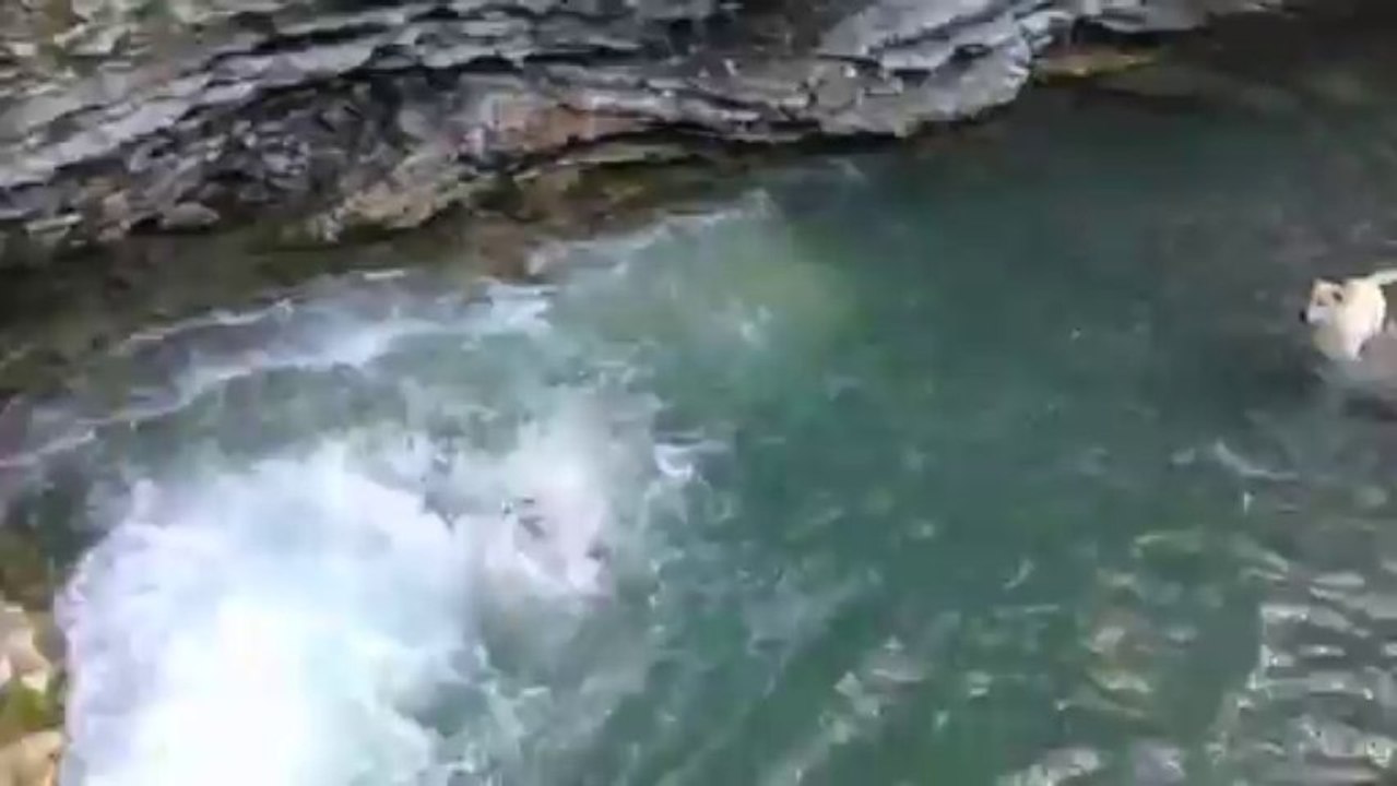 Petit saut dans la cascade