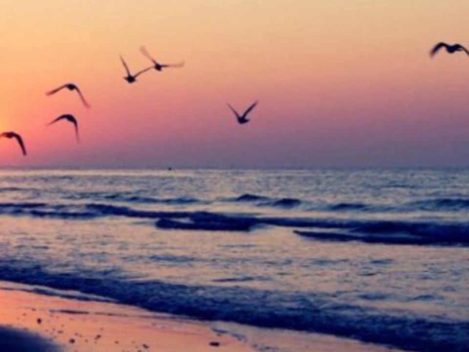 Berhan Arısoy-Alır başımı giderim