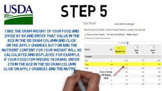 How to Use a Digital Kitchen Scale to Count Calories by Digiscale™ and the USDA Nutrient Calculator