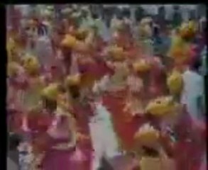 Ye watan tumhara hai