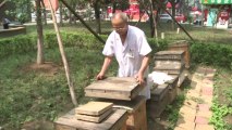 Bee sting therapy causing a buzz in China