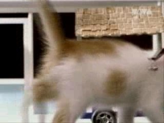 Fatboy Slim - The Joker