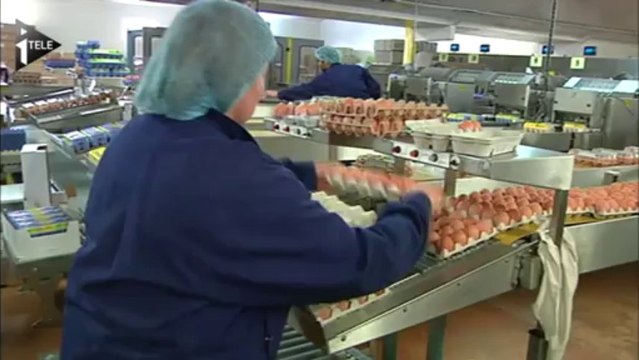 Crise de l'oeuf : S. Le Foll rencontre les producteurs ce mardi