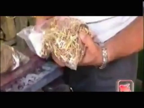 TG 09.08.13 Allarme usura in tempi di crisi