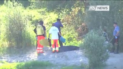 12 08 13 PD IMM ANNEGATI CAVARZERE CON LOGO