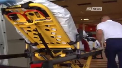 RISSA SULLE MURA, IDENTIFICAZIONE VICINA