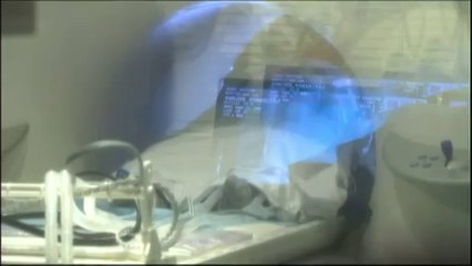 Ce que les rats nous apprennent sur les expériences de mort imminente