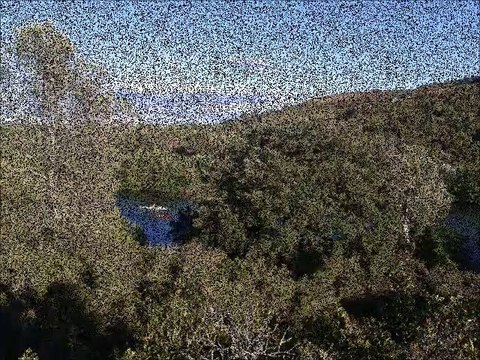 escalade Aubais 08.08.2013