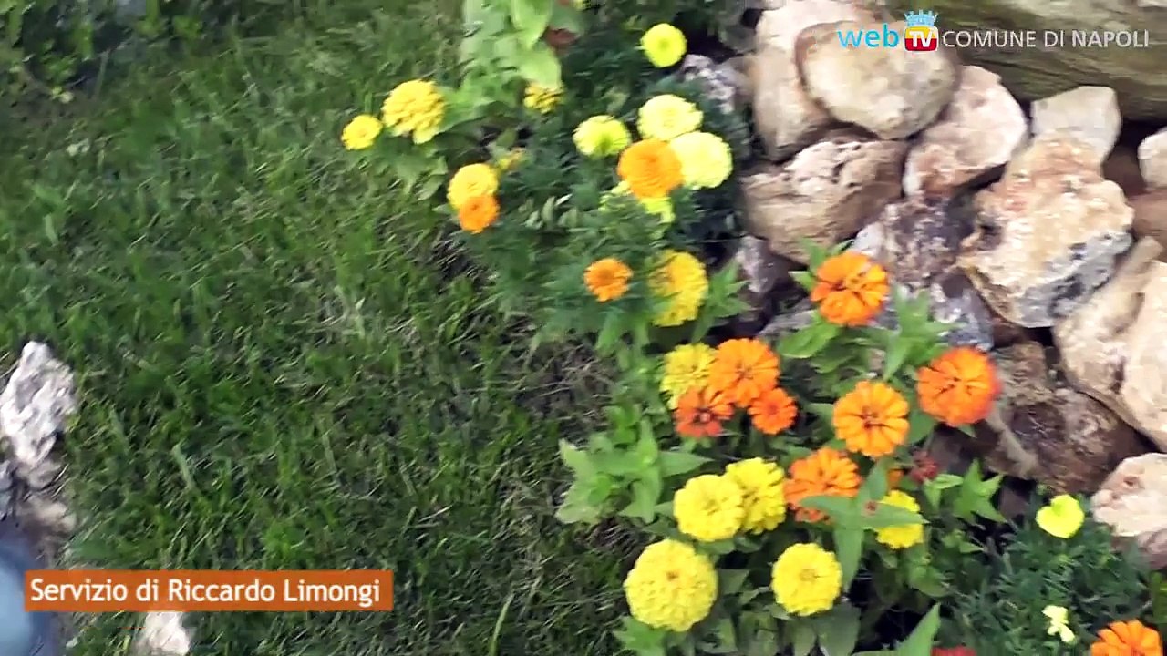 Napoli - Il ricordo di Gigi e Paolo, uccisi per errore a Pianura -2- (10.08.13)