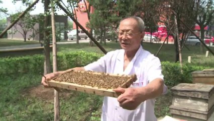 AFP - Le JT, 1ère édition du mardi 13 août