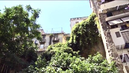 Campania - Televomero TG (01.08.13)