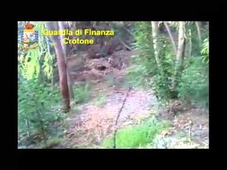 Crotone - Sequestro di cannabis (02.08.13)