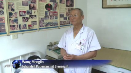 Akupunktur durch Bienenstich: Chinesen schwören auf Insekten