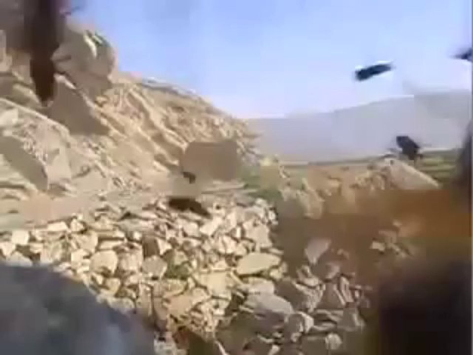 Attaque de guêpes après une explosion en Afghan...