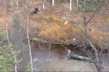 Alaska moose hunting outfitters