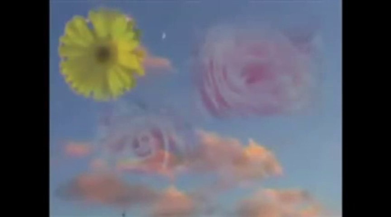 Intervention magie et fleur...*